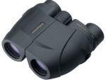 Бинокль Leupold BX-1 Rogue Compact 8x25 Black 59220